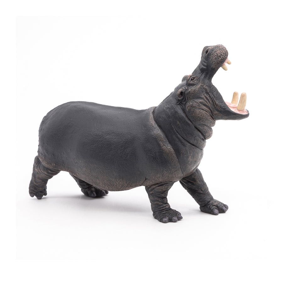 Figurine Hippopotame Papo en PVC, thème savane, Collection Animaux sauvages, jouet éducatif idéal pour enfants et collectionneurs