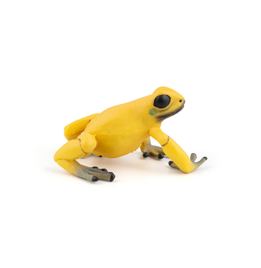 Grenouille équatoriale jaune Papo en PVC, Collection Animaux sauvages, jouet éducatif idéal pour enfants et collectionneurs