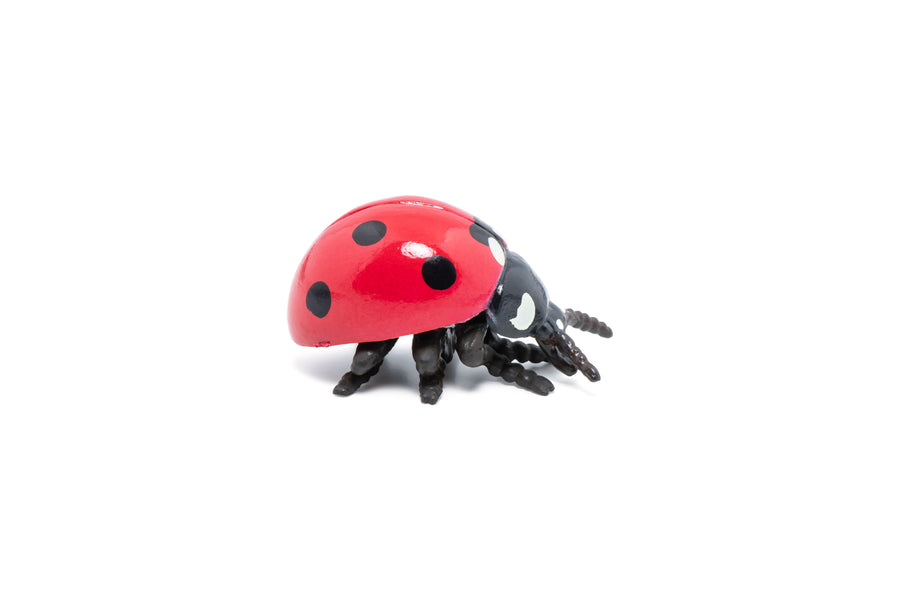 Figurine Coccinelle Papo en PVC, thème insectes, Collection Animaux des jardins, jouet éducatif idéal pour enfants et collectionneurs