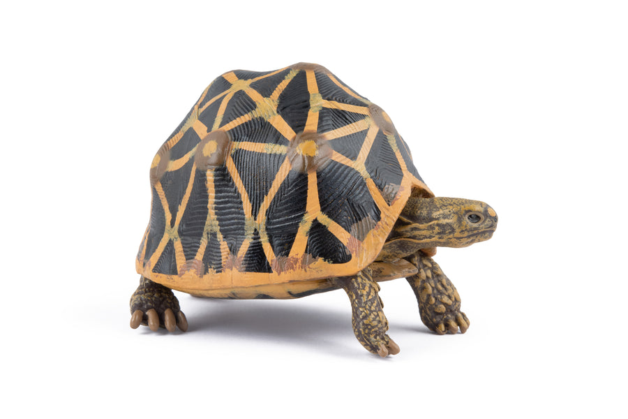 Star tortoise Figurine
