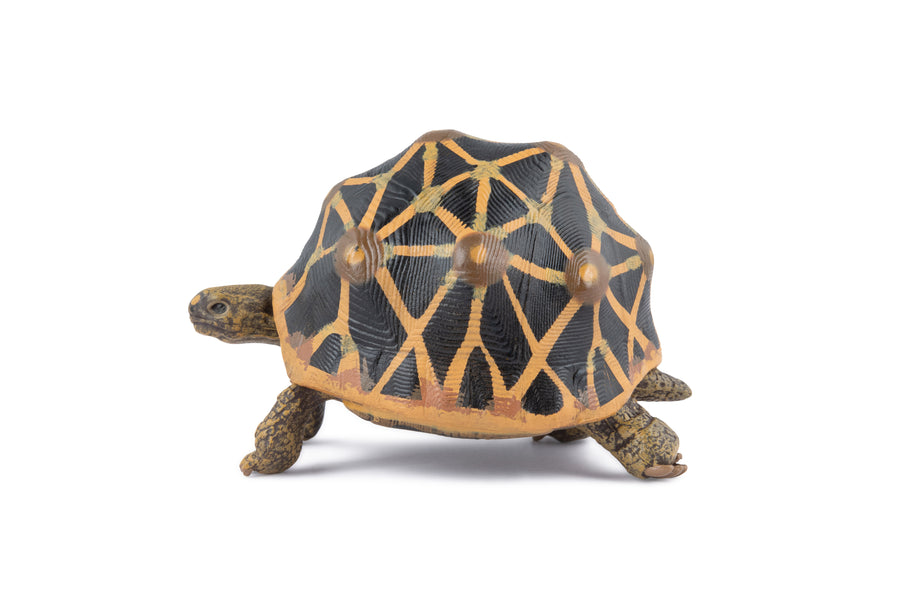 Star tortoise Figurine