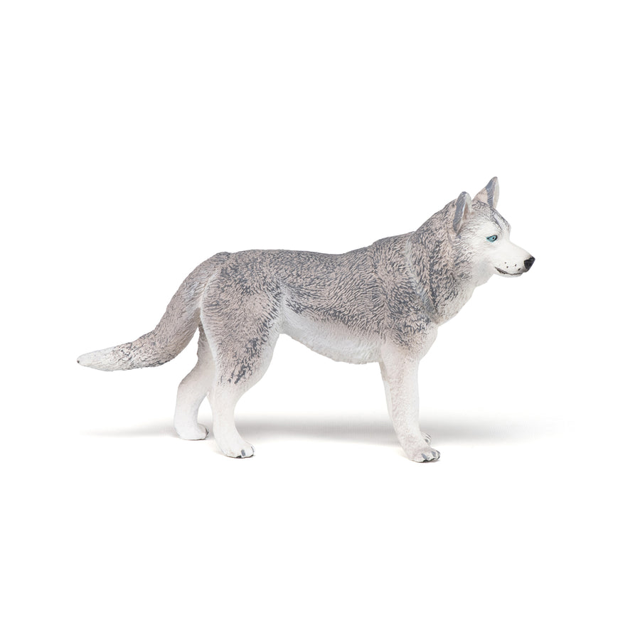 Figurine Husky de Sibérie Papo en PVC, Collection chiens et chats, jouet éducatif idéal pour enfants et collectionneurs