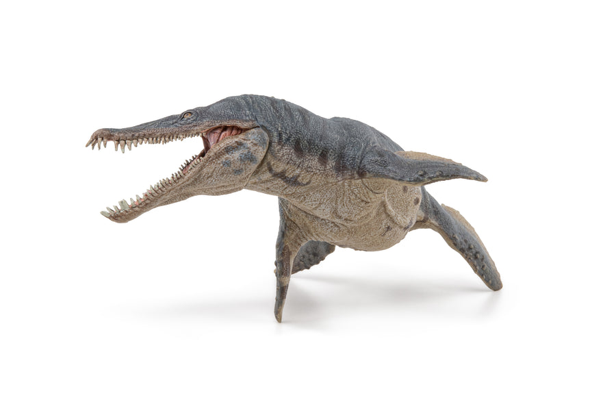 Kronosaurus Papo en PVC, Collection Dinosaures, jouet éducatif idéal pour enfants et collectionneurs