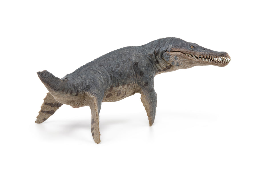Kronosaurus Papo en PVC, Collection Dinosaures, jouet éducatif idéal pour enfants et collectionneurs