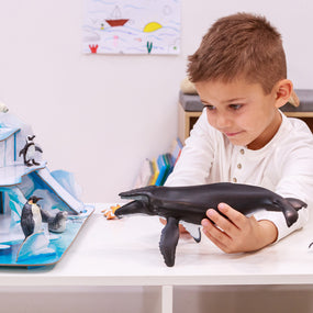 Baleine à bosse Papo en PVC, Collection animaux marins, jouet éducatif idéal pour enfants et collectionneurs
