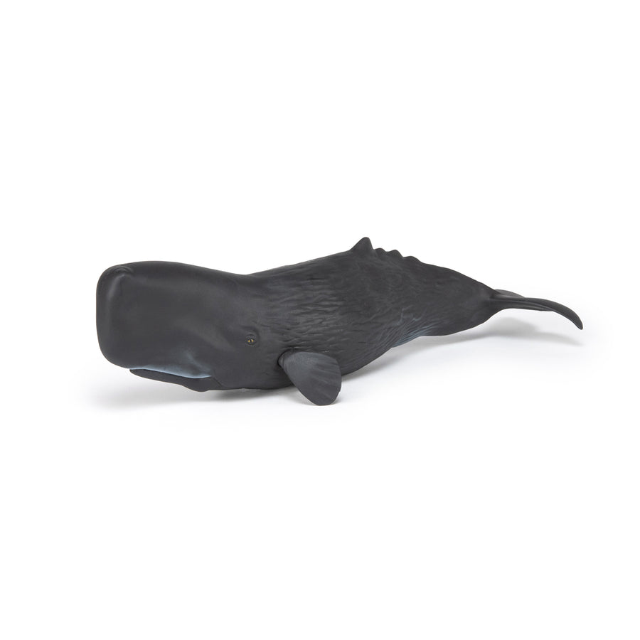 Cachalot Papo en PVC, Collection animaux marins, jouet éducatif idéal pour enfants et collectionneurs