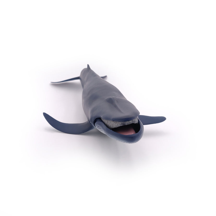 Figurine Baleine bleue Papo en PVC, Collection animaux marins, jouet éducatif idéal pour enfants et collectionneurs