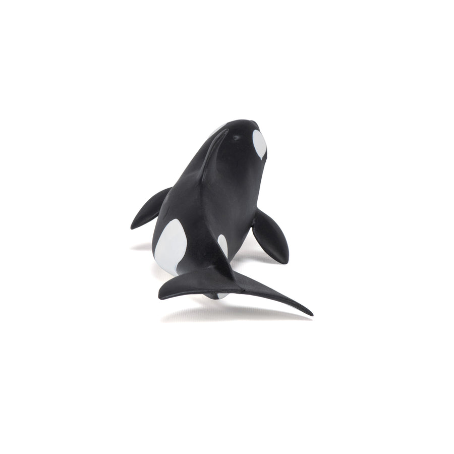 Figurine Bébé orque Papo en PVC, Collection animaux marins, jouet éducatif idéal pour enfants et collectionneurs