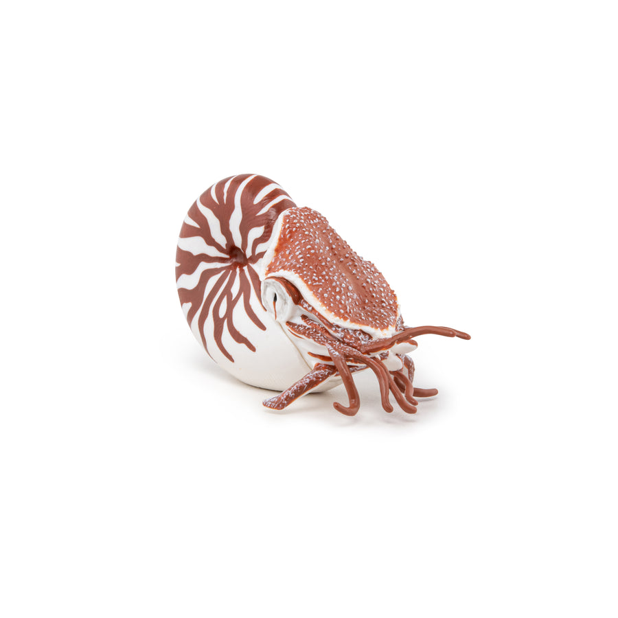 Nautile Papo en PVC, Collection animaux marins, jouet éducatif idéal pour enfants et collectionneurs